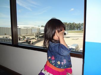 �v�[�P�b�g�s���̔�s�@�ɏ��O�ɉ䂪�q���p�`��