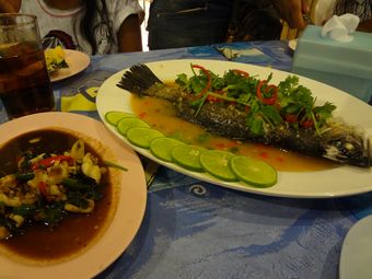 �V�[�t�[�h���X�g�����R