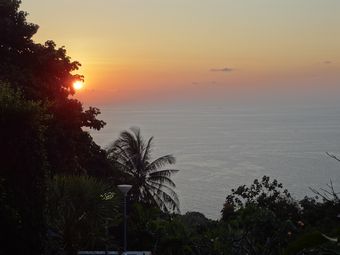 �J�����P