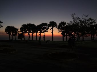 �v�����e�b�v���P