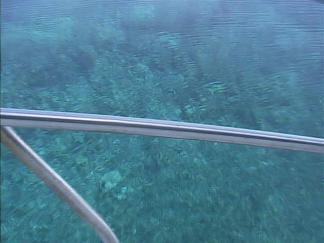 �O���[�g�o���A���[�t