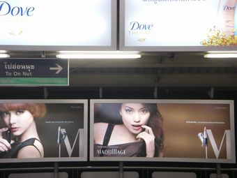 �G�r�����̓^�C�Ō��Ă������ł��B�i�΁j