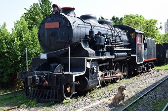 �D��