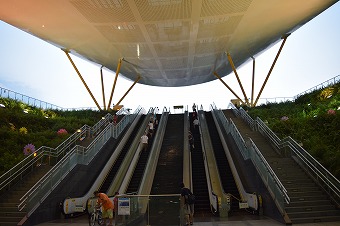 ���������w